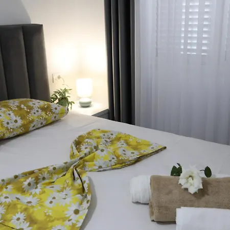 Rozafa Guest Center 3* שקודר