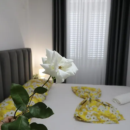 호텔 Rozafa Guest Center 3*